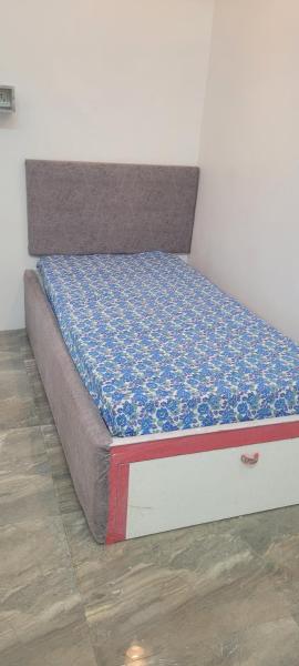 Shikary's Palace Home stay
